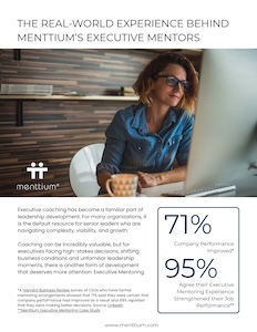 Executive Mentor Overview